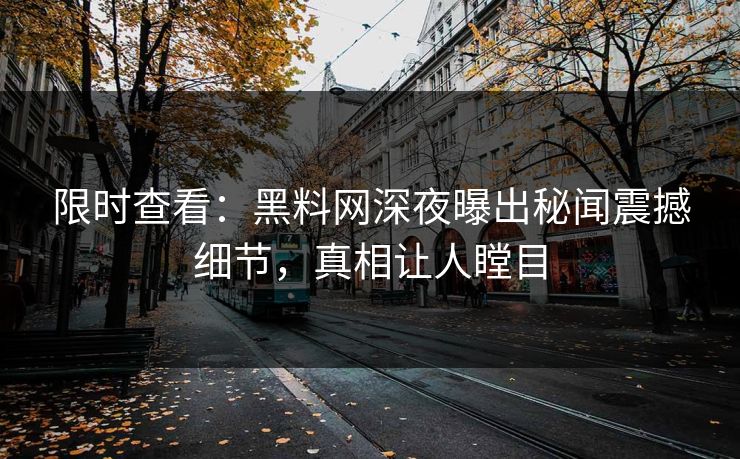 限时查看：黑料网深夜曝出秘闻震撼细节，真相让人瞠目