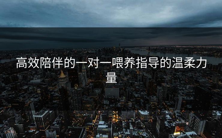 高效陪伴的一对一喂养指导的温柔力量