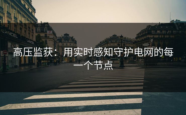 高压监获：用实时感知守护电网的每一个节点