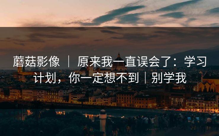 蘑菇影像 ｜ 原来我一直误会了：学习计划，你一定想不到｜别学我